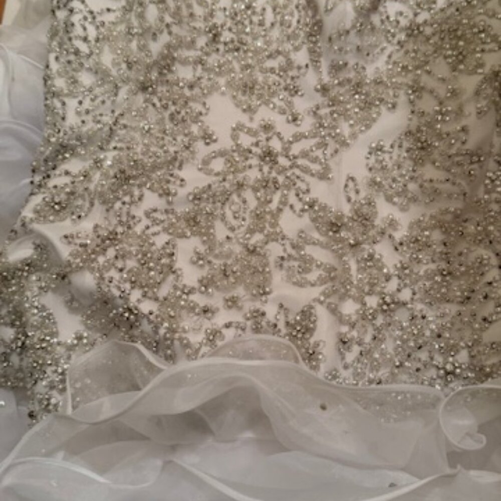 Dennis Basso Wedding Dress - Picture 4 of 4